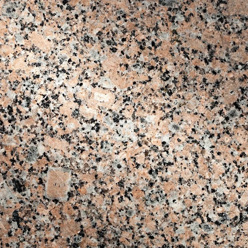 Sunset Beige polished stone sample.
