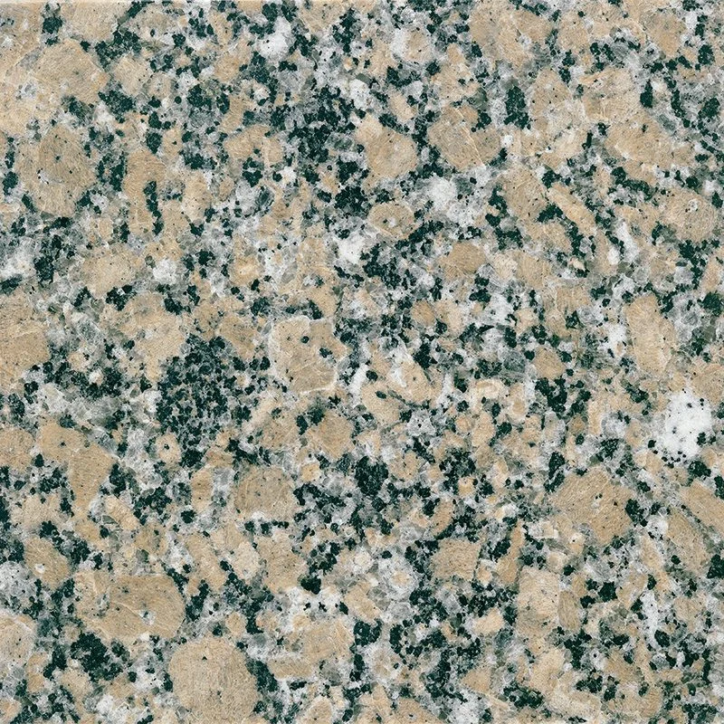 Texas Pearl polished stone sample.
