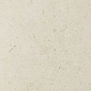 Bottom Ledge Cottonwood: Catalogue sample