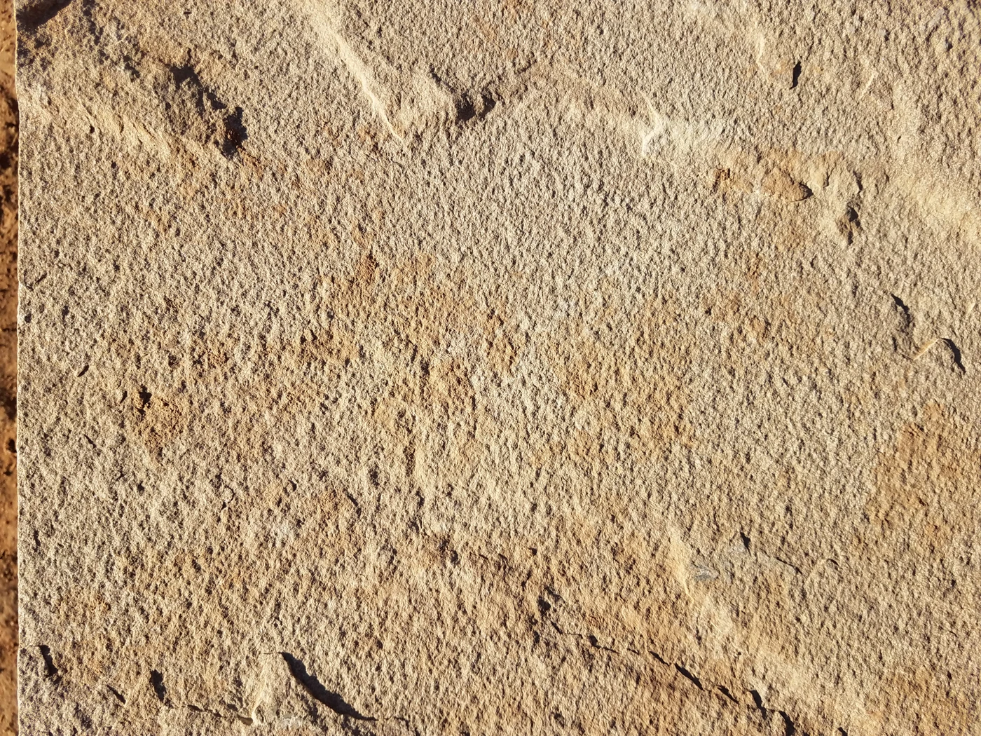 Close detail of Milagro sandstone with a beige natural-cleft surface and brown markings.
