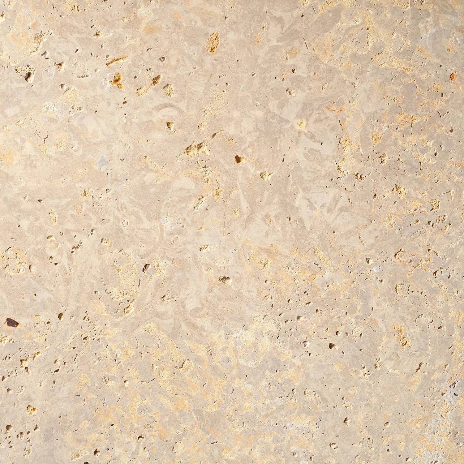 Winona Stone — Bluff’s Edge: Winona Stone — Bluff’s Edge — honed texture detail.