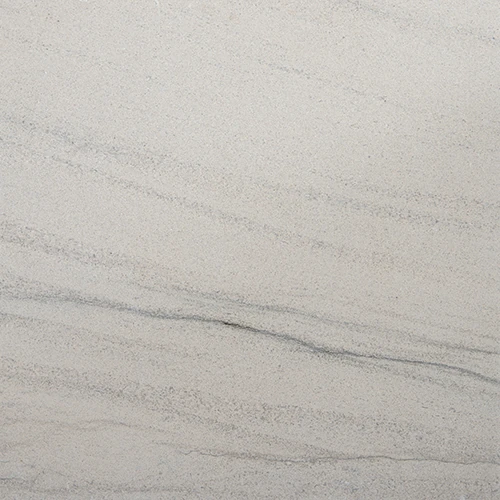 Silver Shadow: Silver Shadow limestone — veine-cut sample.