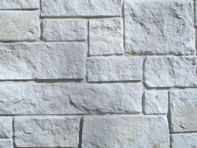 Austin White · building veneer.