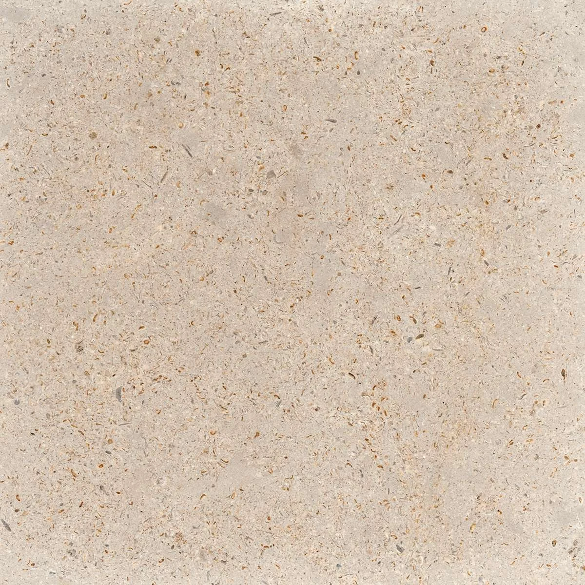 Cottonwood Bottom Ledge: Cottonwood Bottom Ledge · honed finish.