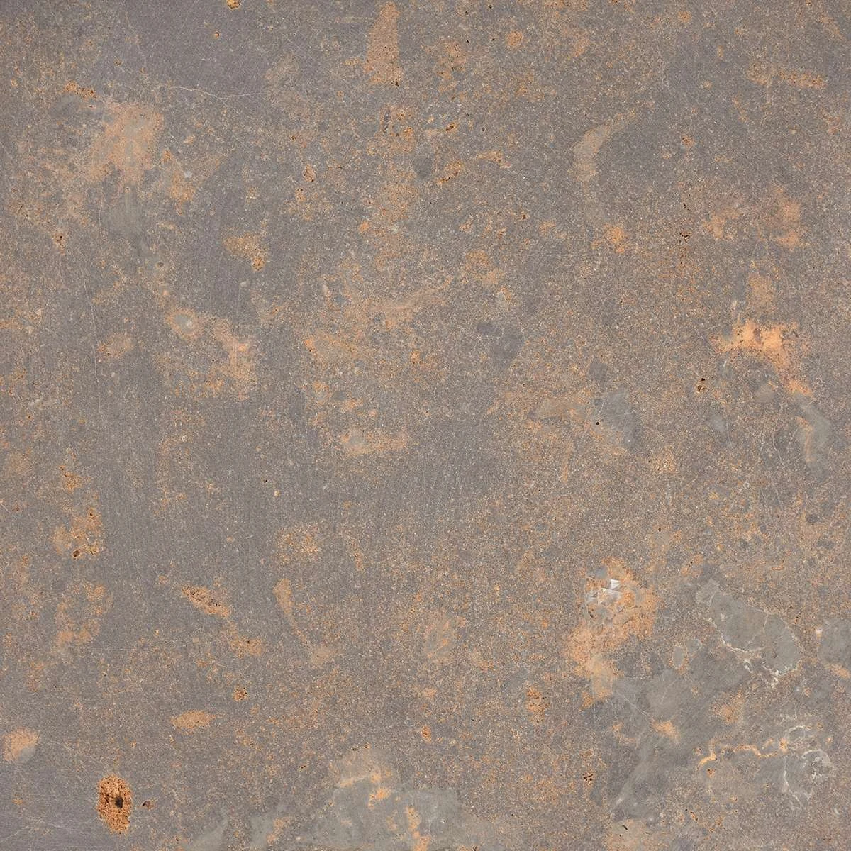 EW Gold: EW Gold · honed finish.