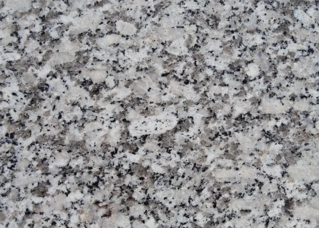 Freshwater Pearl · polished sample.