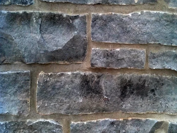 Erie Shore Gray · split ashlar.